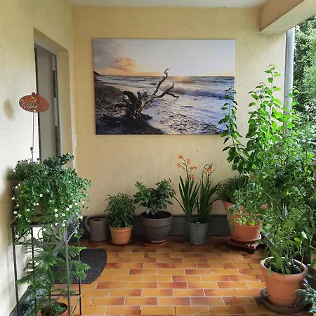 Apartment Ferienwohnung Central